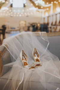 Bellissima Shoes and Veil 